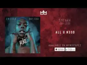 Sneakk - All U N33d